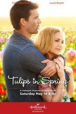 Watch Tulips in Spring Merdb