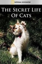 Watch The Secret Life of Cats Merdb