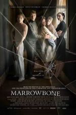 Watch The Secret of Marrowbone Merdb