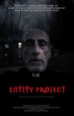 Watch Entity Project Merdb