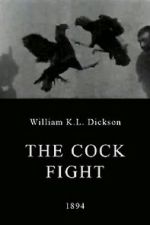 Watch The Cock Fight Merdb