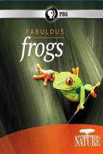 Watch Nature: Fabulous Frogs Merdb
