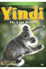 Watch Yindi the Last Koala Merdb