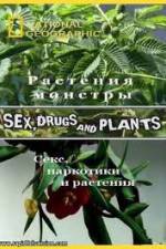 Watch National Geographic Wild: Sex Drugs and Plants Merdb