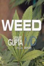 Watch CNN Weed Sanjay Gupta Report Merdb