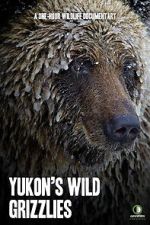 Watch Yukon\'s Wild Grizzlies Merdb