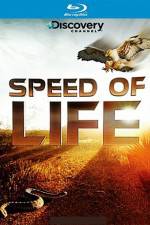 Watch Speed of Life Merdb