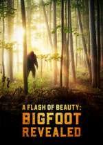 Watch A Flash of Beauty: Bigfoot Revealed Merdb
