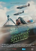 Watch The Shamrock Spitfire Merdb