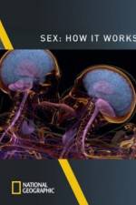 Watch Sex How It Works Merdb
