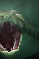 Watch The World's Largest Snake Merdb