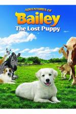 Watch Adventures of Bailey The Lost Puppy Merdb