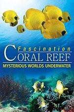 Watch Fascination Coral Reef: Mysterious Worlds Underwater Merdb