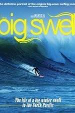 Watch The Big Swell Merdb