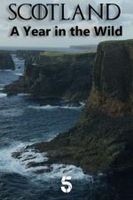 Watch Scotland: A Wild Year Merdb