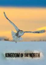 Watch Kingdom of the North Merdb