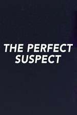 Watch The Perfect Suspect Merdb