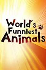 Watch The World\'s Funniest Animals Merdb