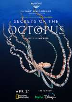Secrets of the Octopus merdb