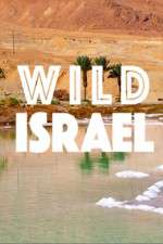 Watch Wild Israel Merdb