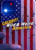 Watch Wild & Weird America Merdb