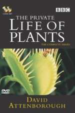 Watch The Private Life of Plants Merdb