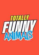 Watch Totally Funny Animals Merdb
