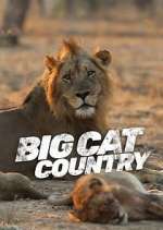 Watch Big Cat Country Merdb