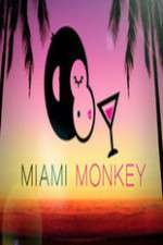 Watch Miami Monkey Merdb