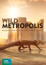 Watch Wild Metropolis Merdb