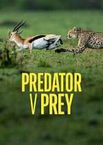 Watch Predator v Prey Merdb