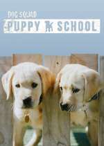 Watch Dog Squad: Puppy School Merdb