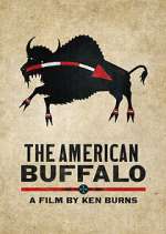 Watch The American Buffalo Merdb